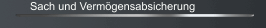 Sach und Verm&ouml;gensabsicherung